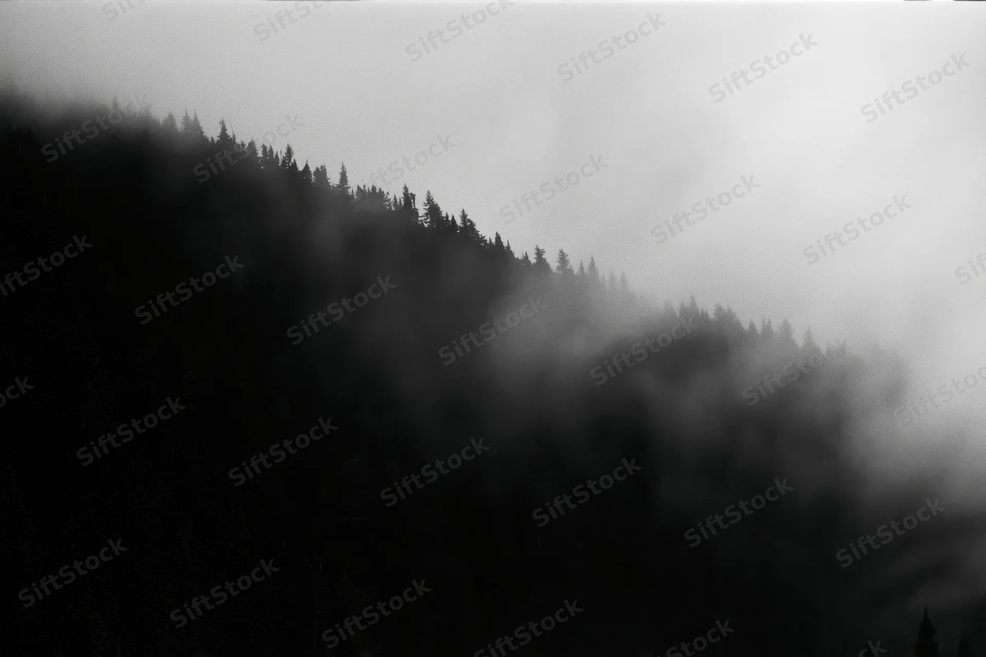 Dark forested mountain ridge silhouetted against swirling low fog