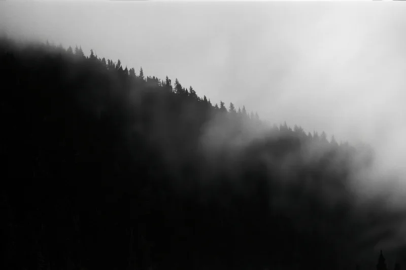 Dark forested mountain ridge silhouetted against swirling low fog