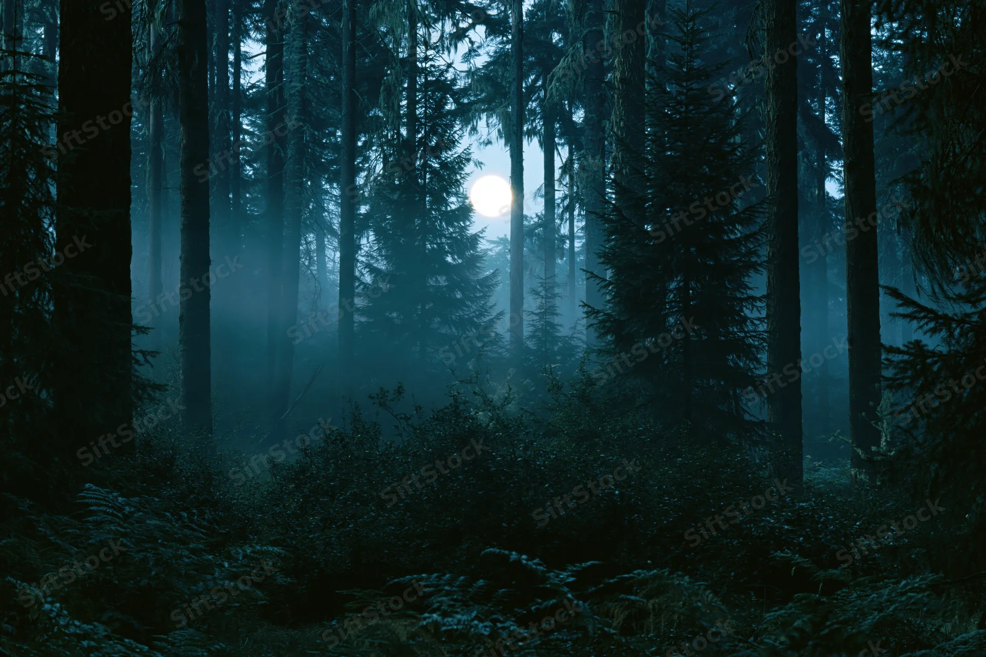Full moon glowing through dense conifer trees in a misty forest at night