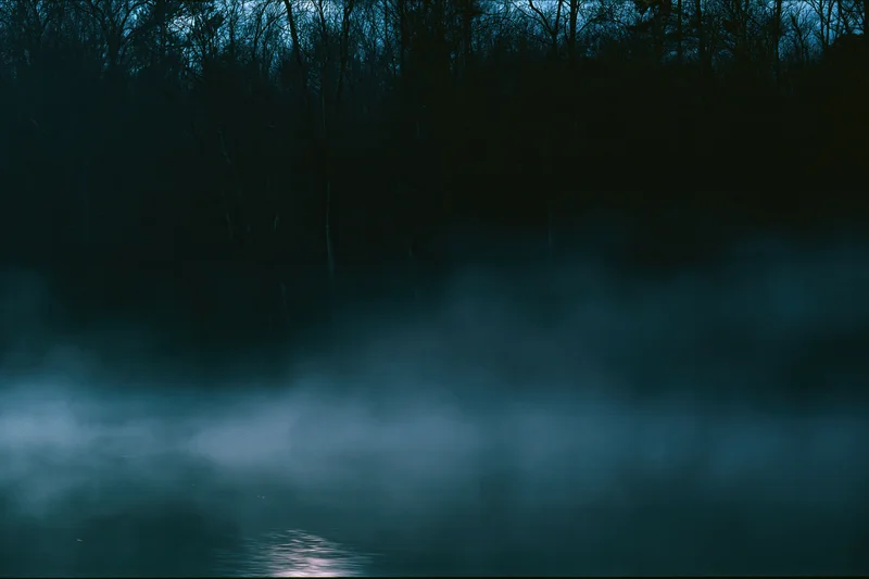 Mist rising over a still lake at night beside a dark forest