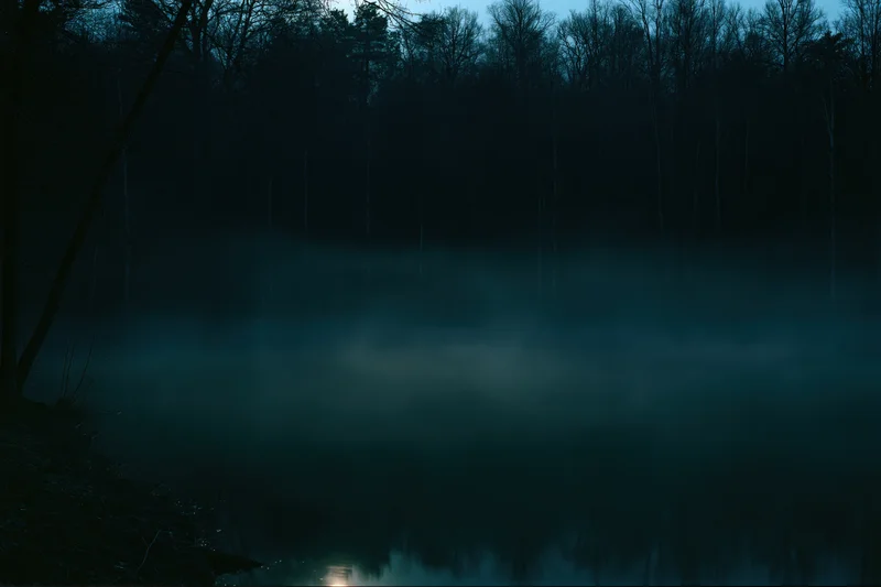 Mist rising over a still lake at night surrounded by dense dark woodland