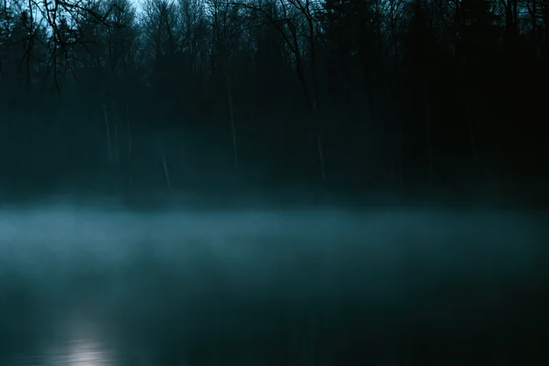 Mist rising over a still lake at the edge of a dark forest at night