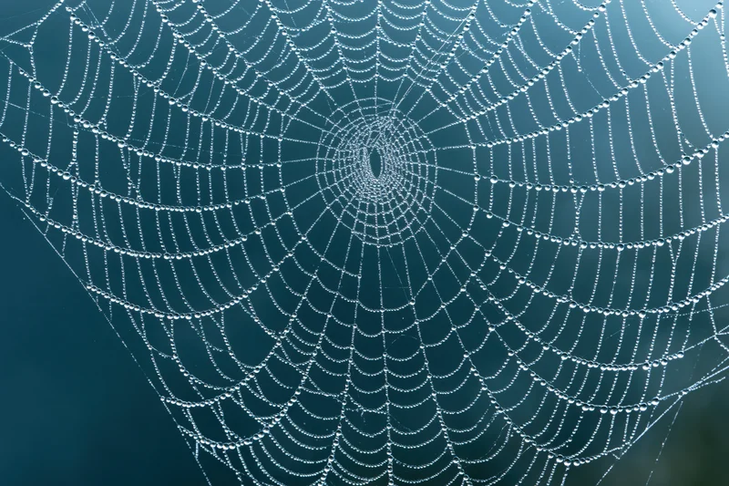 Closeup of a dew-covered spiderweb with intricate circular pattern against a deep blue background