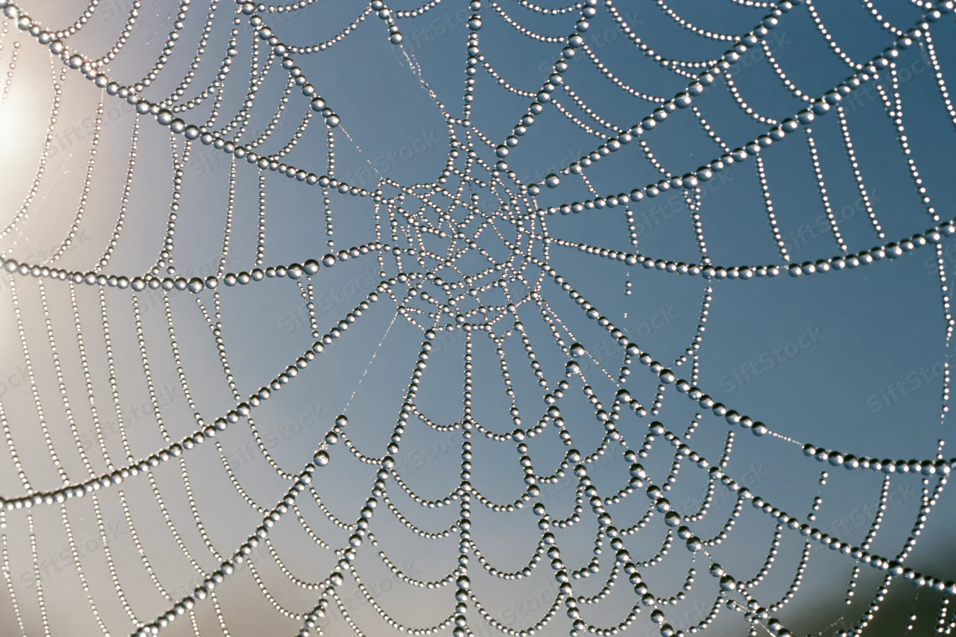 Closeup of a dew-covered spiderweb against a blue sky in the morning