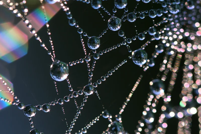 Closeup of a dew-covered spiderweb with glistening water droplets reflecting light and rainbow prisms against a dark background