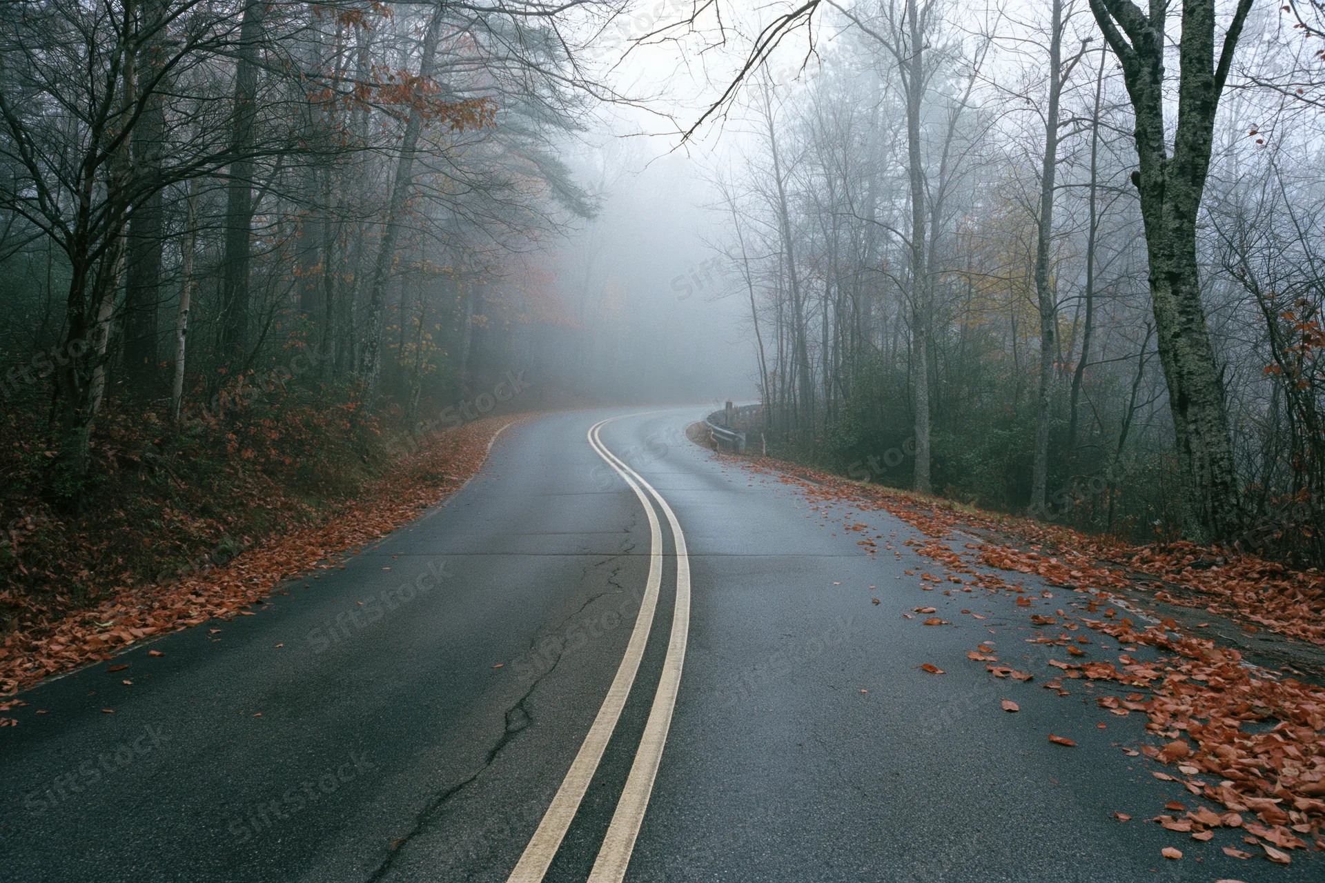 Winding asphalt road curving into dense fog through autumn forest with fallen leaves on sides