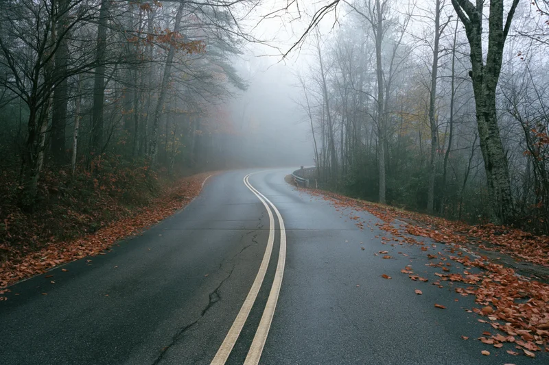 Winding asphalt road curving into dense fog through autumn forest with fallen leaves on sides
