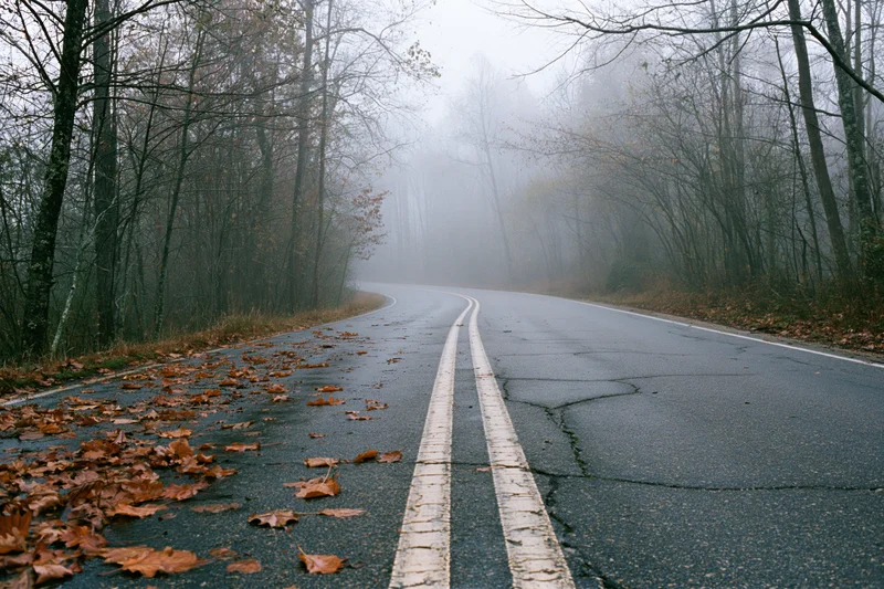 Winding asphalt road curving into dense fog through autumn forest with fallen leaves on roadside