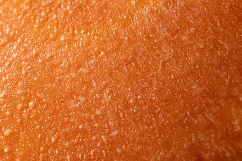 Extreme close-up of fresh carrot surface showing texture and moisture droplets