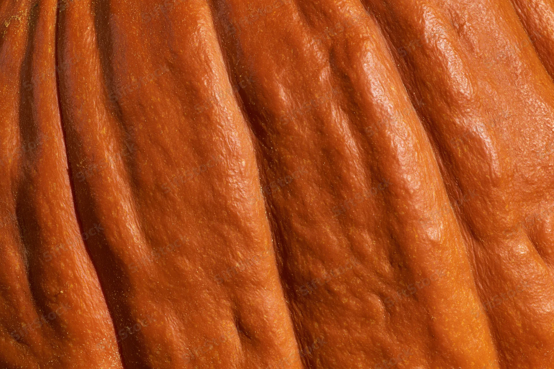 Extreme close-up of pumpkin skin texture showing ridges and grooves