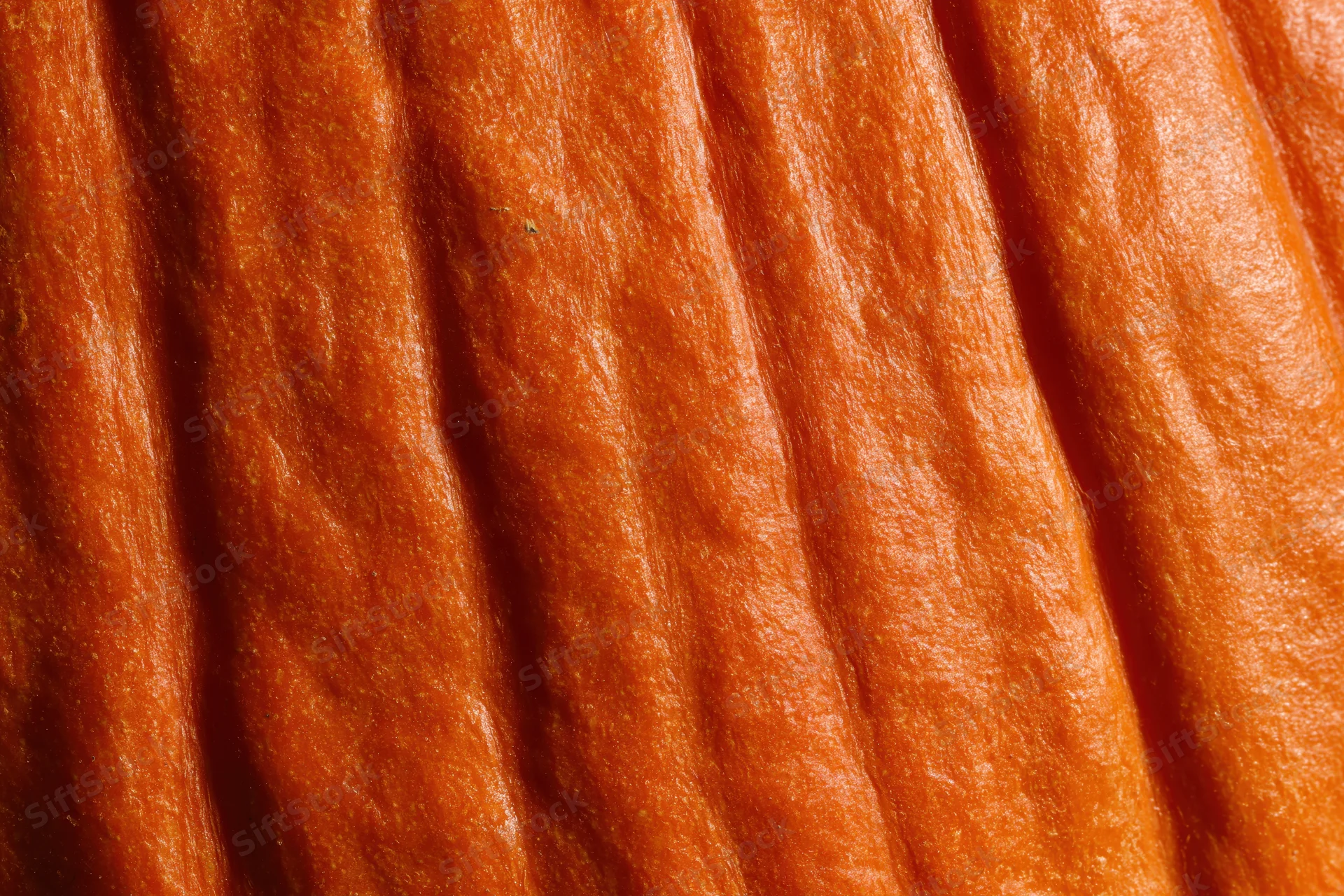 Extreme close-up of pumpkin skin showing vertical ridges and orange texture