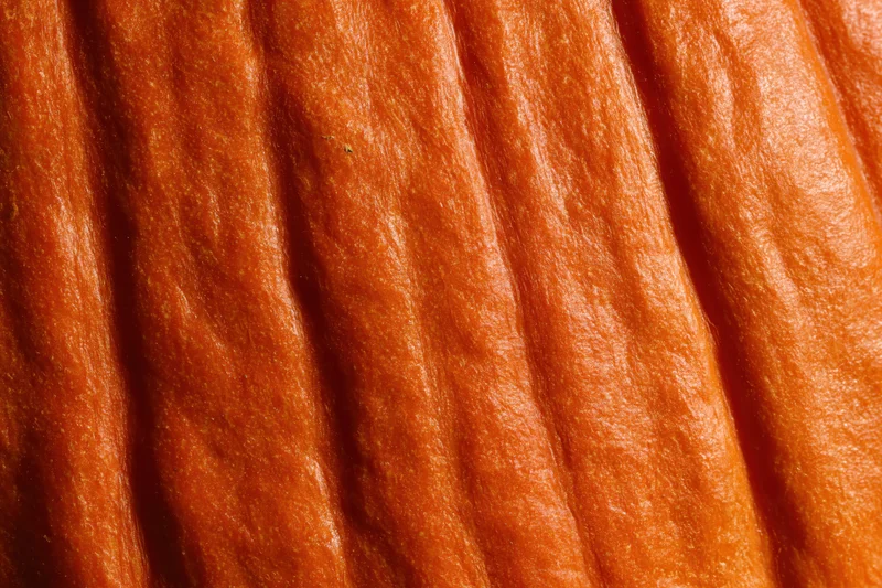 Extreme close-up of pumpkin skin showing vertical ridges and orange texture