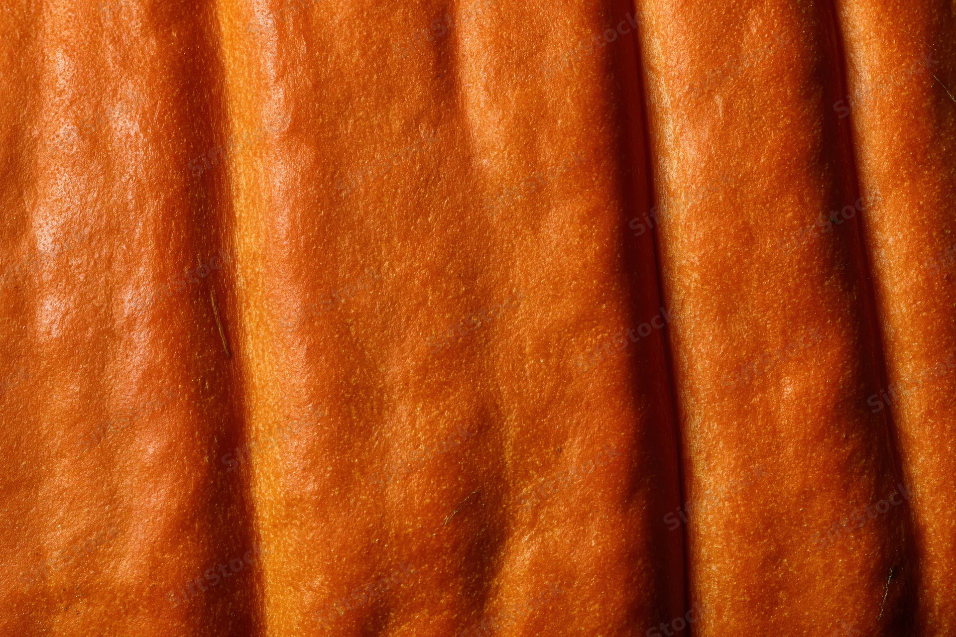 Close-up of pumpkin skin surface showing ridged texture and orange color