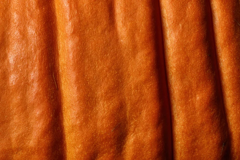 Close-up of pumpkin skin surface showing ridged texture and orange color