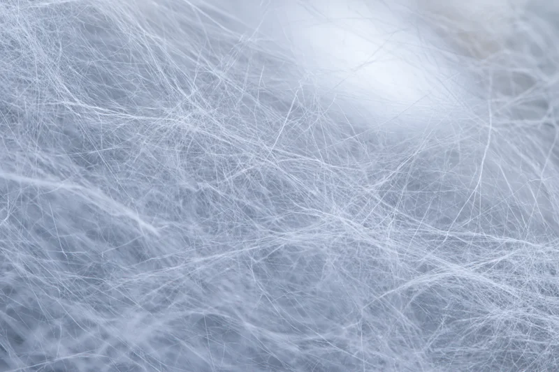 Extreme close-up of a dense spider web filling the frame with fine silk threads