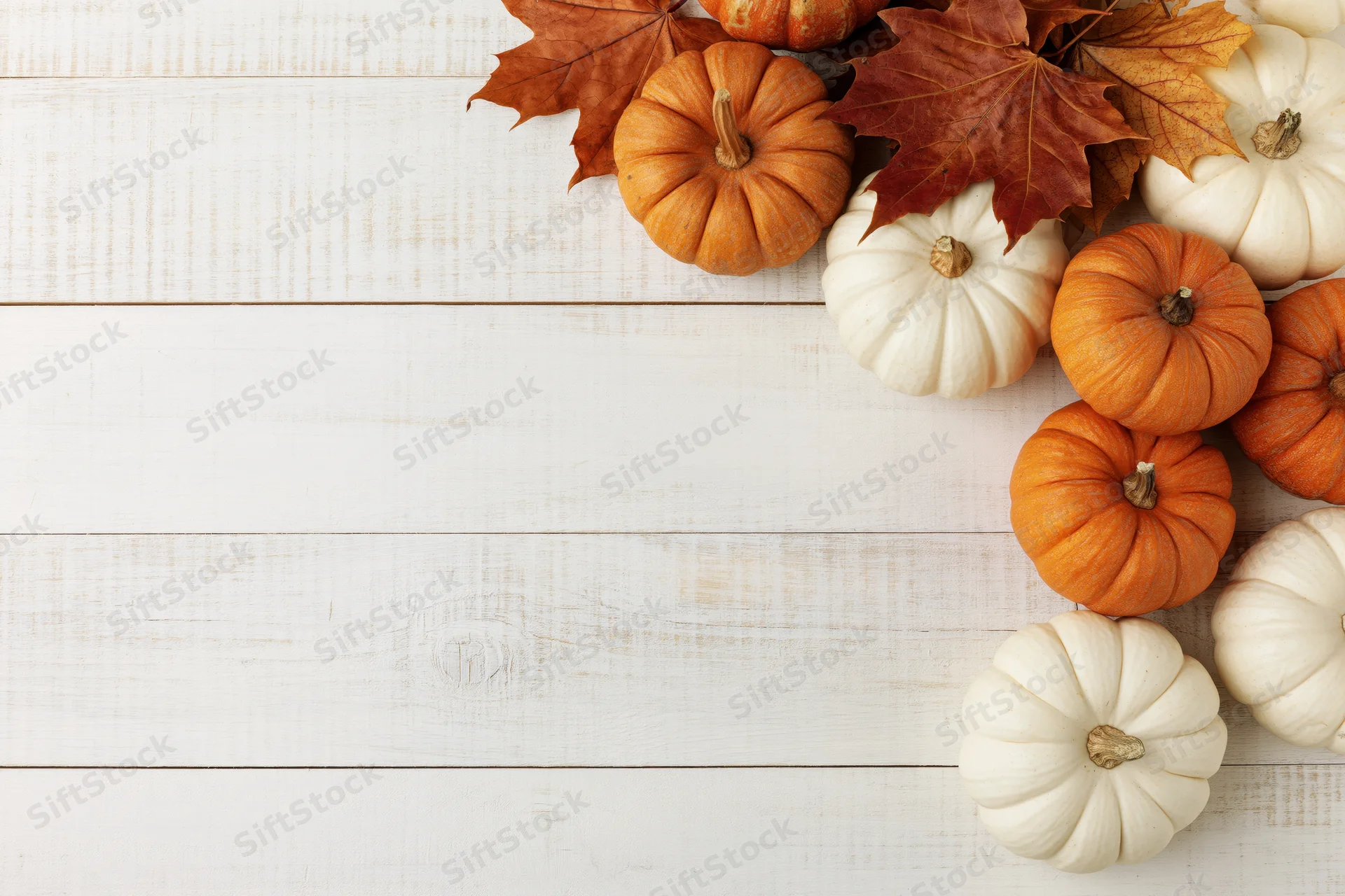 Small orange and white pumpkins with dried maple leaves arranged on a white wooden table in a flat lay composition