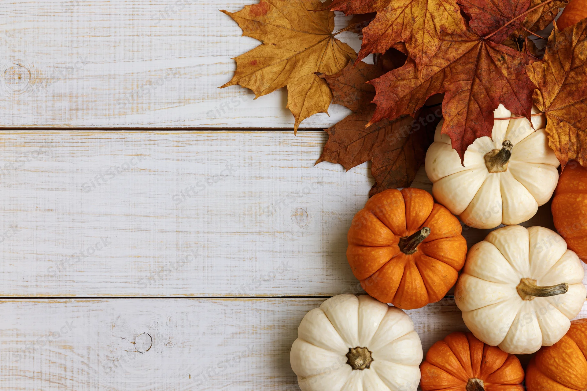 Small orange and white pumpkins with dried autumn leaves arranged in corner on white wooden surface