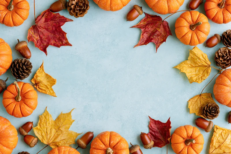 Small orange pumpkins and dried maple leaves arranged in a border around a light blue surface with copyspace in the center