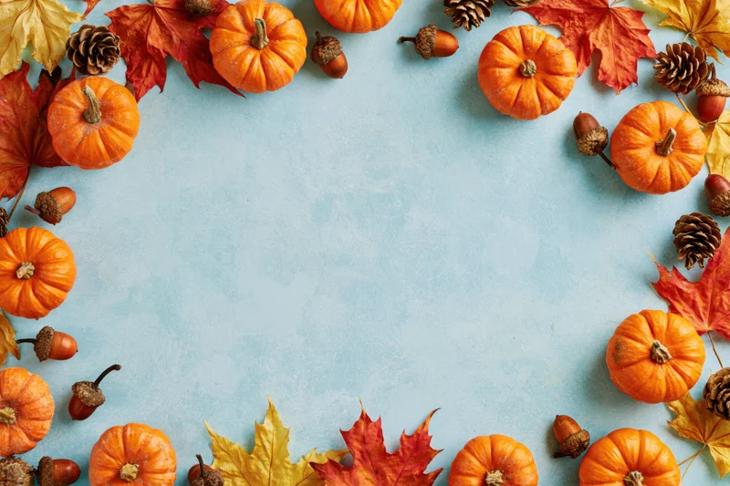 Small orange pumpkins and dried maple leaves arranged in a border around a blue surface with copyspace