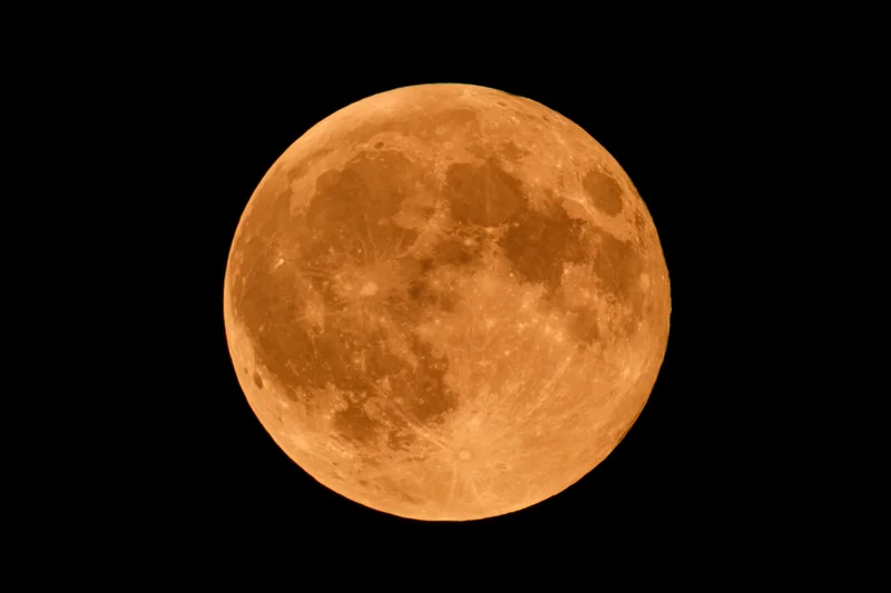 Full orange harvest moon centered against black night sky