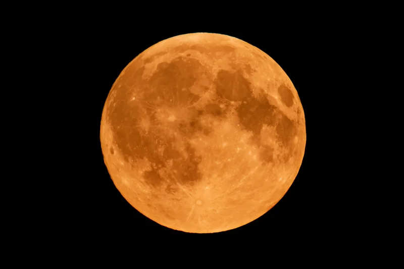 Full orange harvest moon centered against black night sky