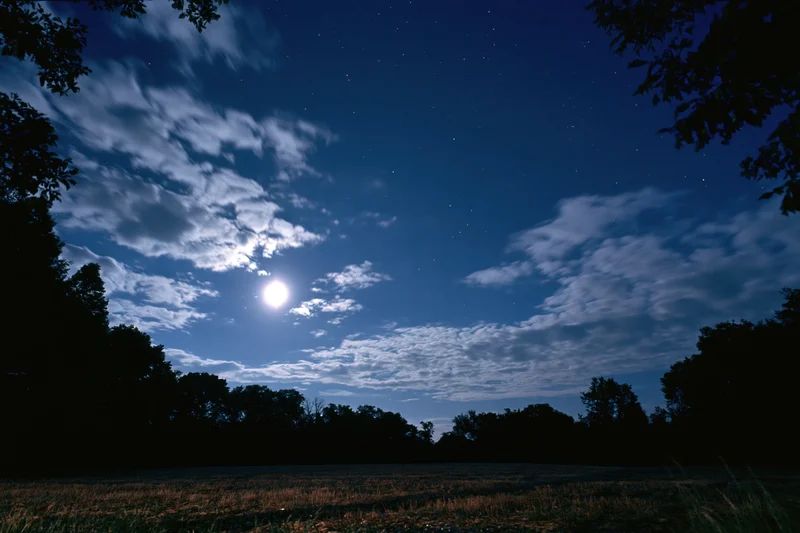 Full moon glowing among scattered stars and drifting clouds over a silhouetted forest and field at night