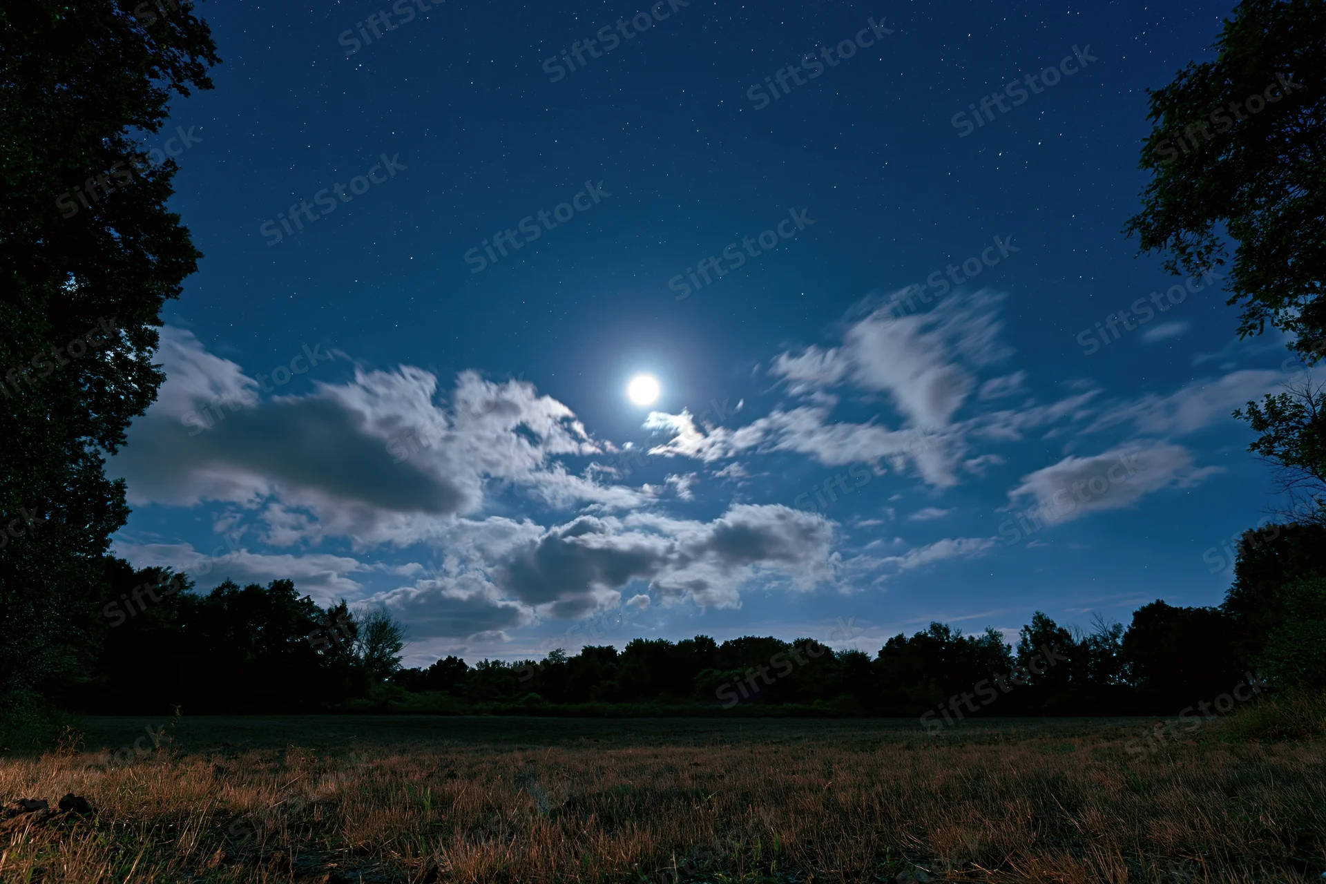 Full moon glowing among scattered stars and drifting clouds over a dark field bordered by trees