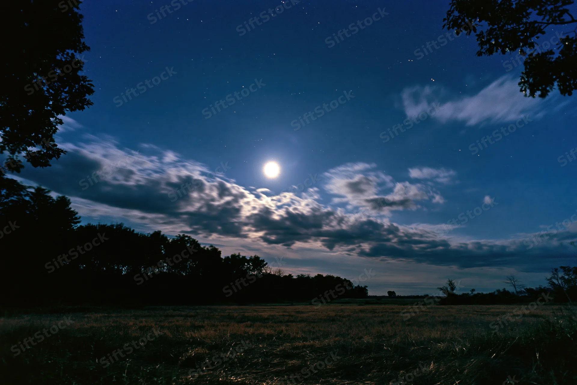 Full moon glowing above a grassy field under a starry night sky with drifting clouds and tree silhouettes