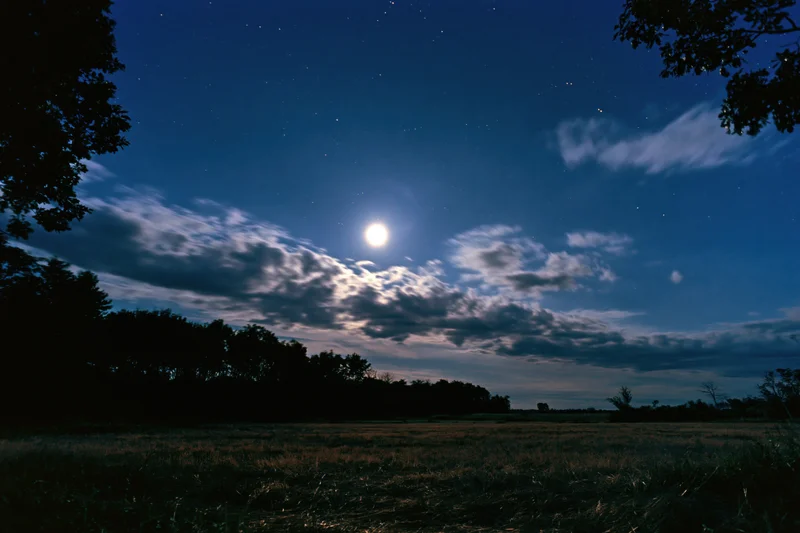 Full moon glowing above a grassy field under a starry night sky with drifting clouds and tree silhouettes