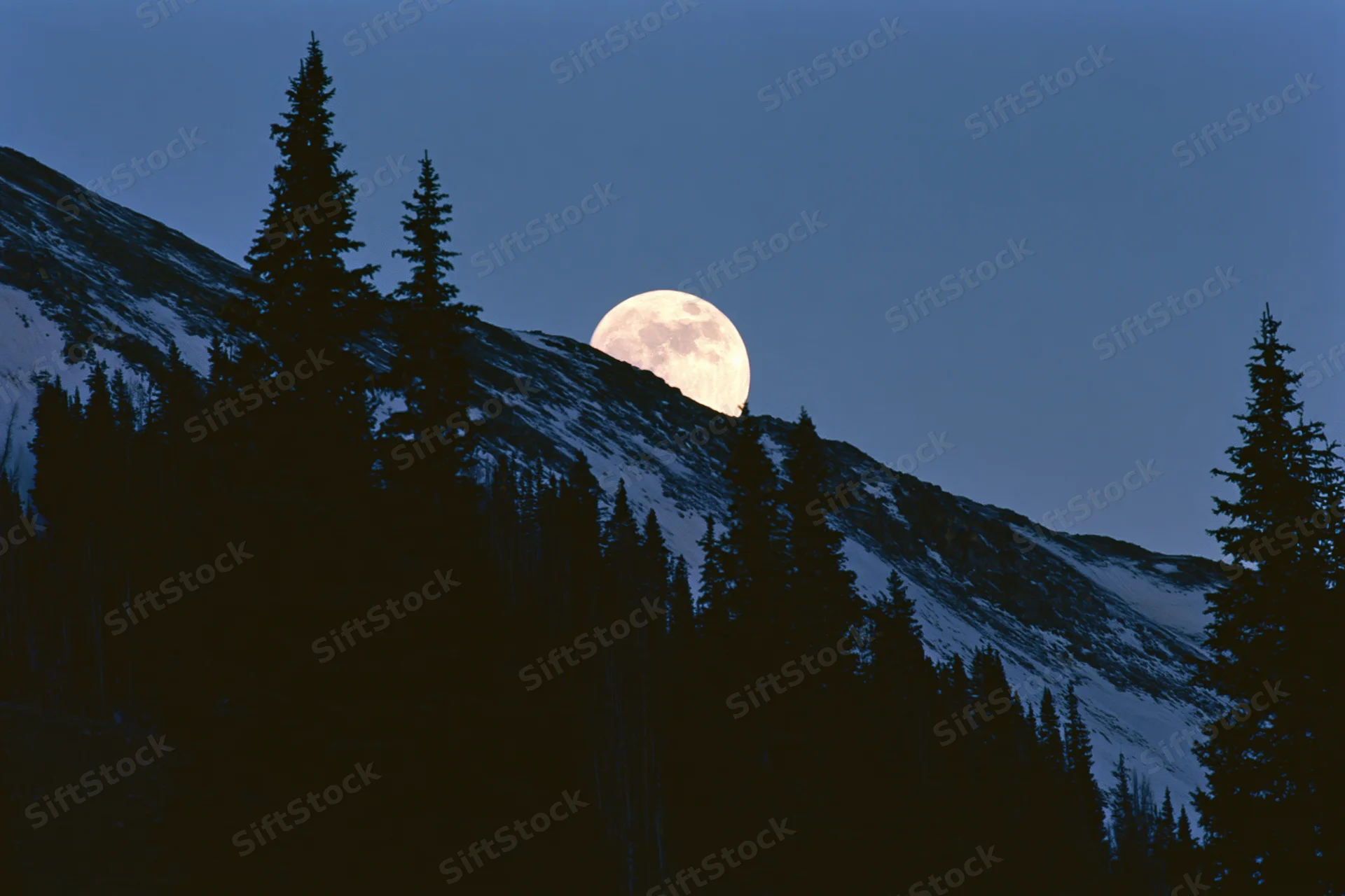 Full moon rising behind snow-dusted mountain ridge with dark evergreen trees in foreground