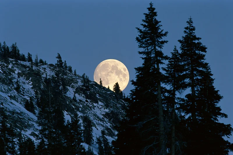 Full moon rising behind snow-dusted mountain ridge with silhouetted pine trees at twilight