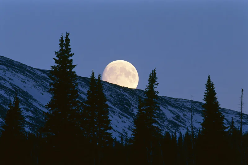 Full moon rising behind snow-dusted mountain ridge with dark evergreen trees in silhouette
