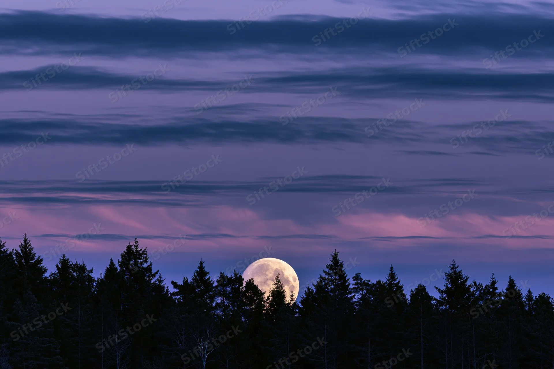 Full moon rising above dark treeline silhouette at twilight
