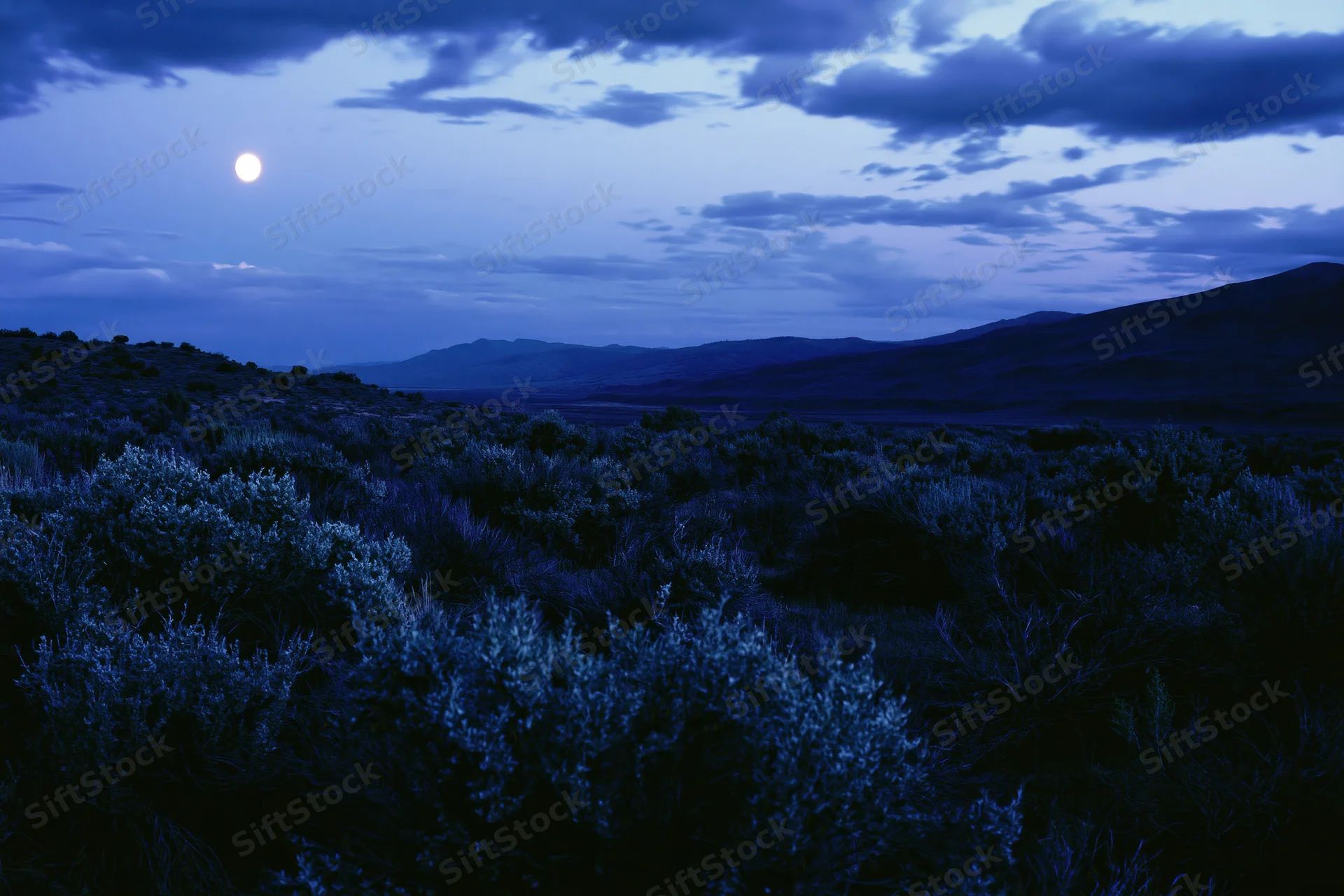 Full moon rising over a dark scrubland landscape with low shrubs and distant mountains under a cloudy night sky