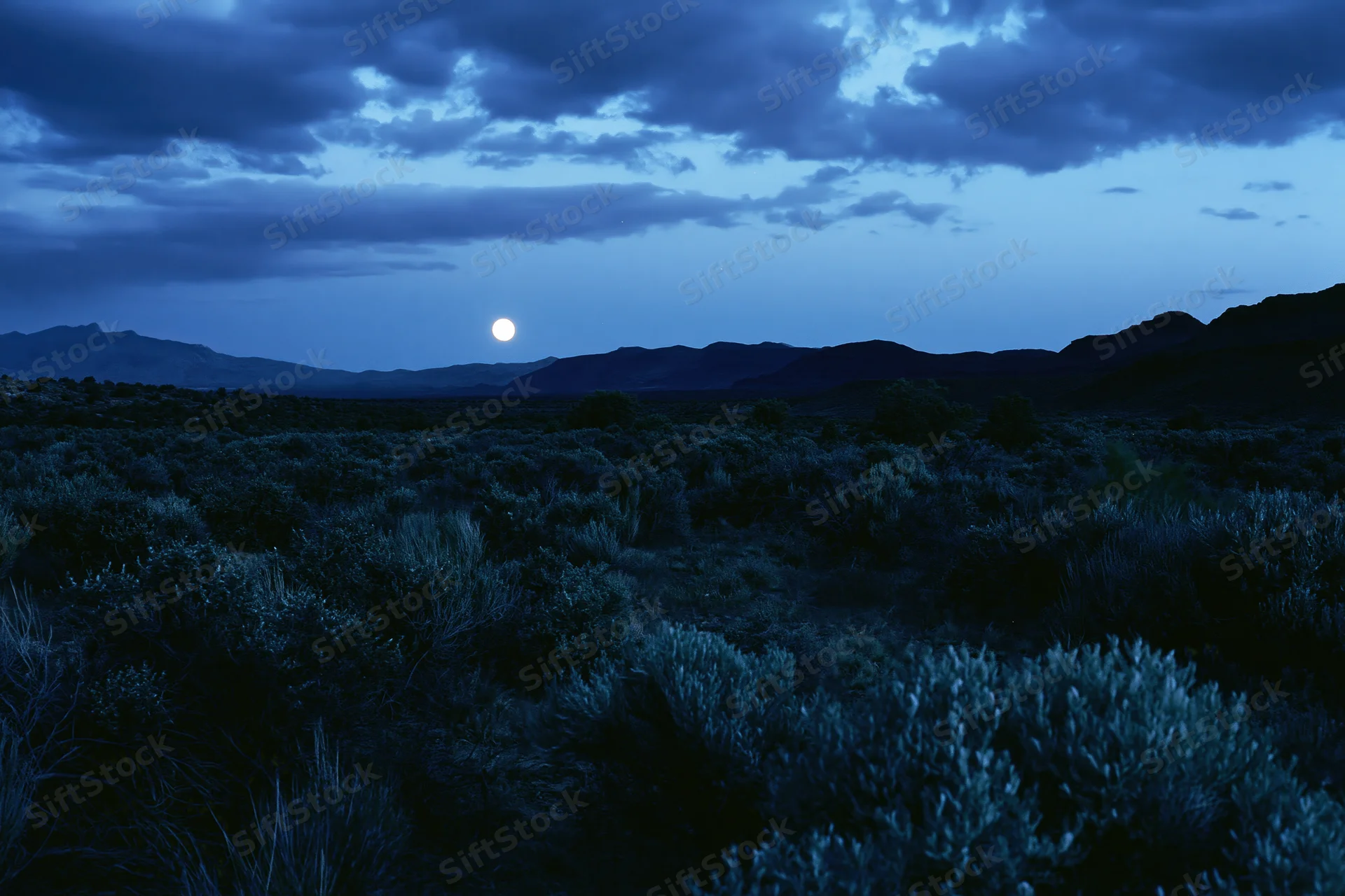 Full moon rising over a dark scrubland landscape with low shrubs and distant mountains under cloudy twilight sky
