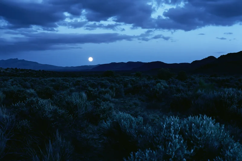 Full moon rising over a dark scrubland landscape with low shrubs and distant mountains under cloudy twilight sky