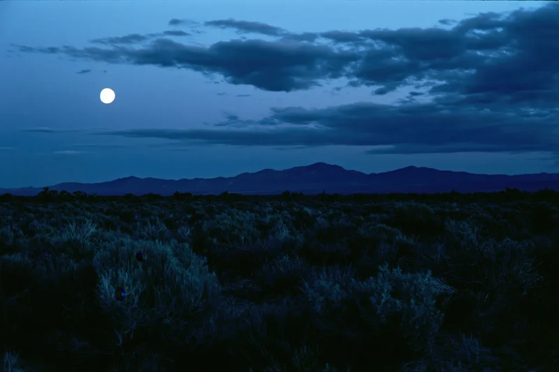 Full moon rising over a dark scrubland landscape with low shrubs and distant mountains under a cloudy night sky