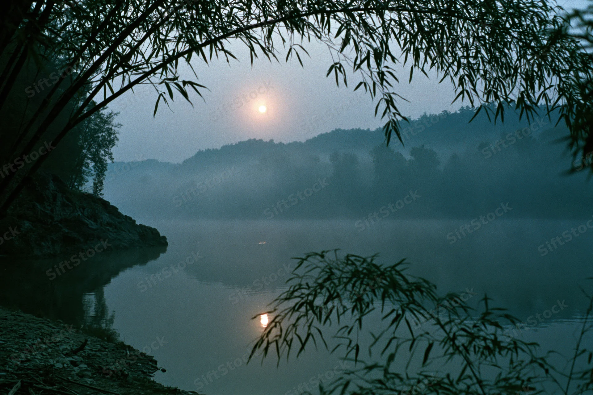 Full moon rising over misty river at night framed by bamboo silhouettes