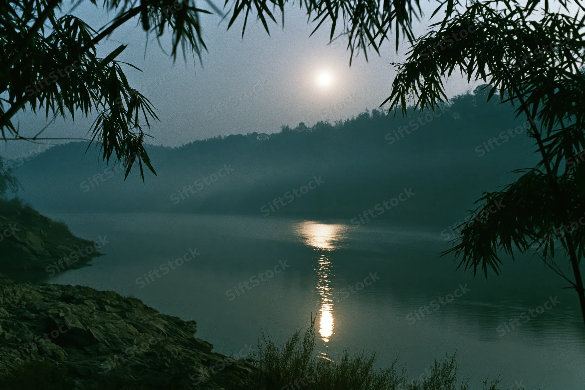 Full moon rising over misty river at night framed by bamboo silhouettes