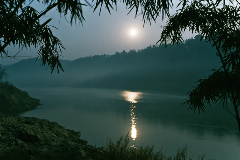 Full moon rising over misty river at night framed by bamboo silhouettes