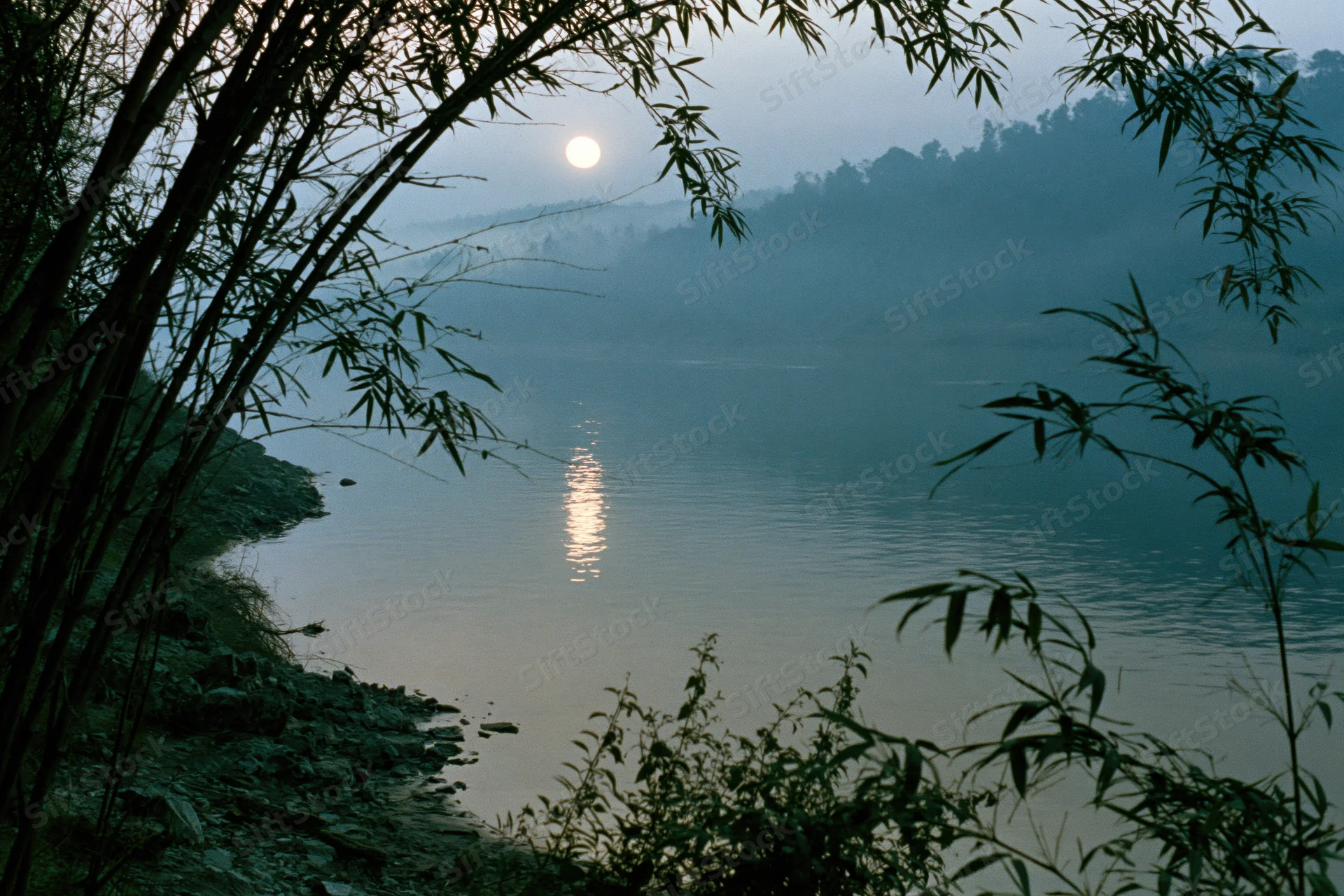 Full moon rising over misty river at night framed by bamboo silhouettes