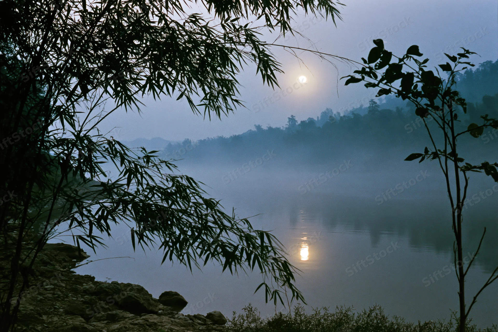 Full moon rising over misty river at night with bamboo silhouettes in foreground