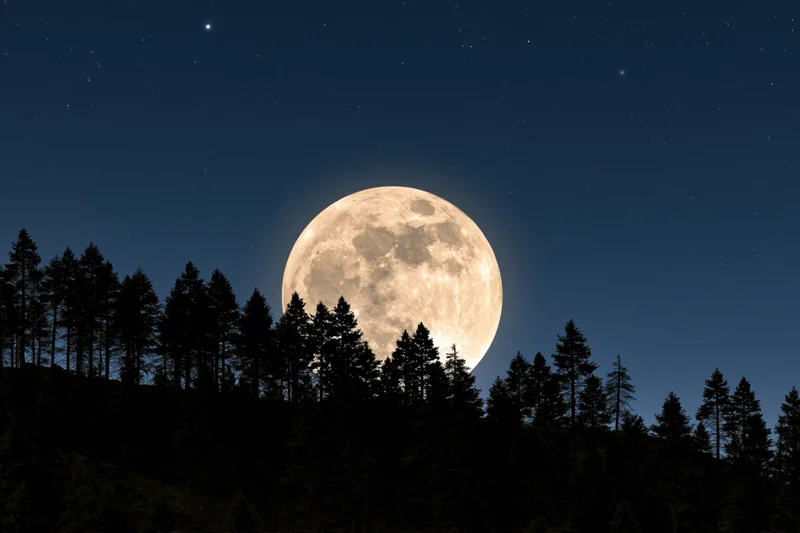 Full supermoon rising above dark forest silhouette at night