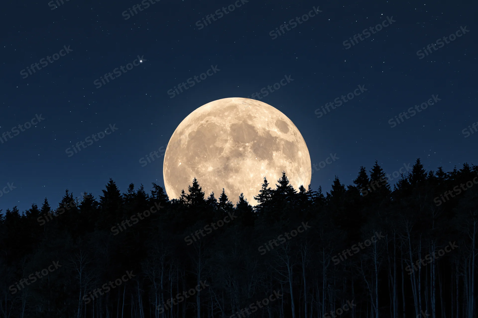 Full supermoon rising above dark forest silhouette at night