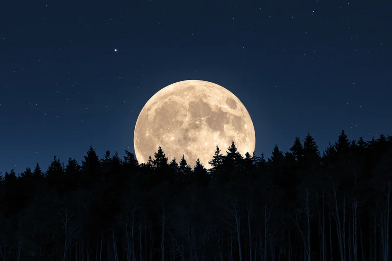 Full supermoon rising above dark forest silhouette at night
