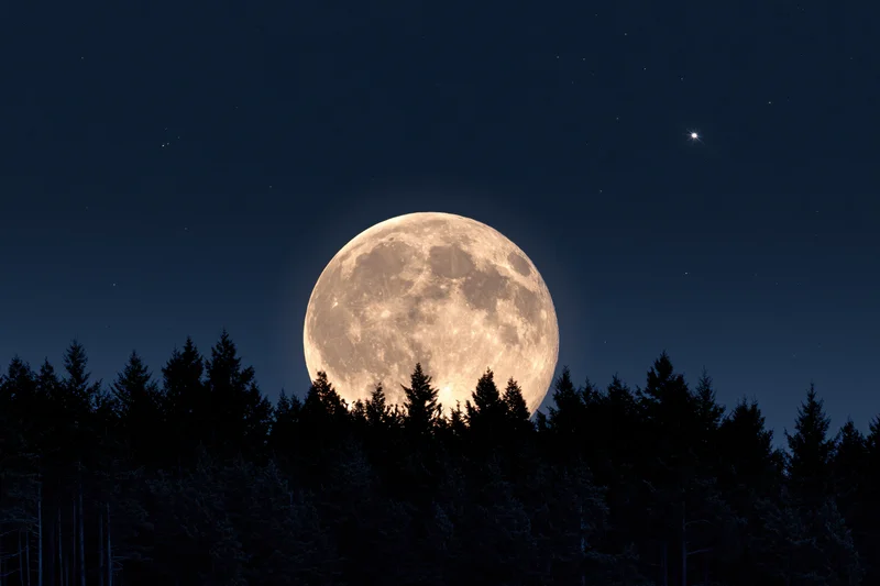 Full supermoon rising above dark forest silhouette at night