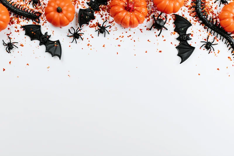 Halloween decorations arranged in a flat lay on white surface with copyspace below