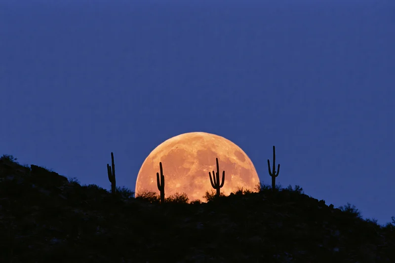 Full moon rising above desert ridge with saguaro cacti silhouetted against twilight sky