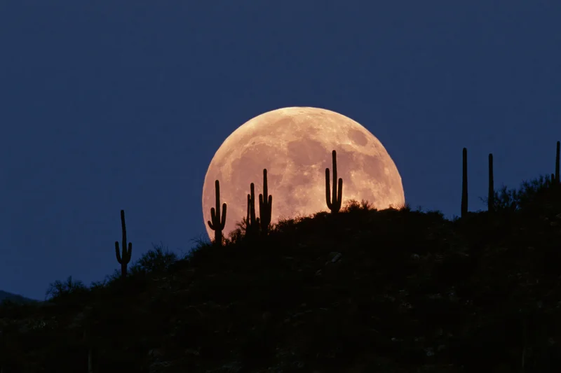 Full moon rising above a desert ridge with saguaro cacti silhouetted against the night sky