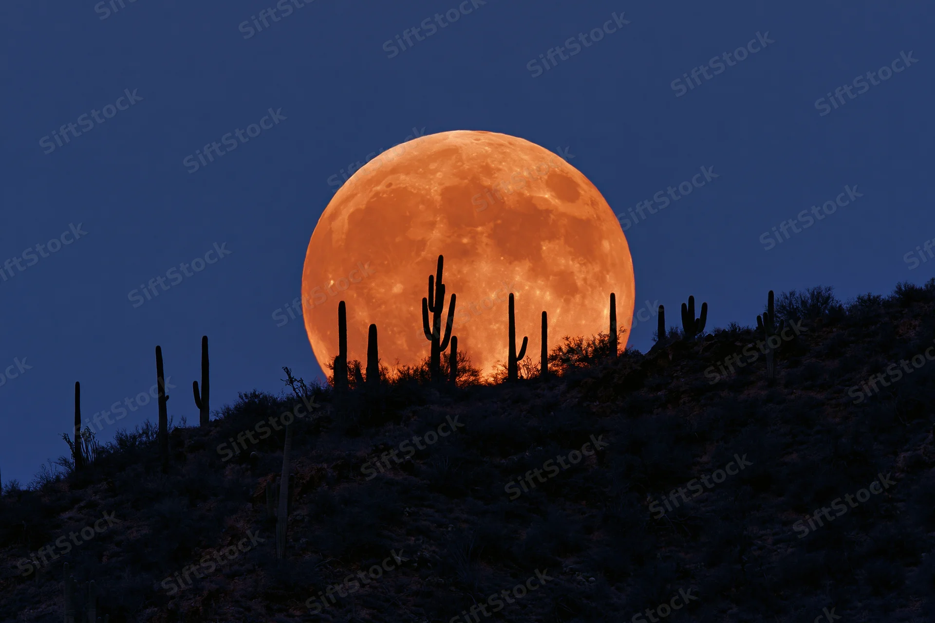 Large amber-orange full moon rising above a desert ridge with silhouetted cacti